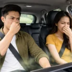 Jangan Sepelekan! Interior Mobil Lembap Bisa Picu Jamur